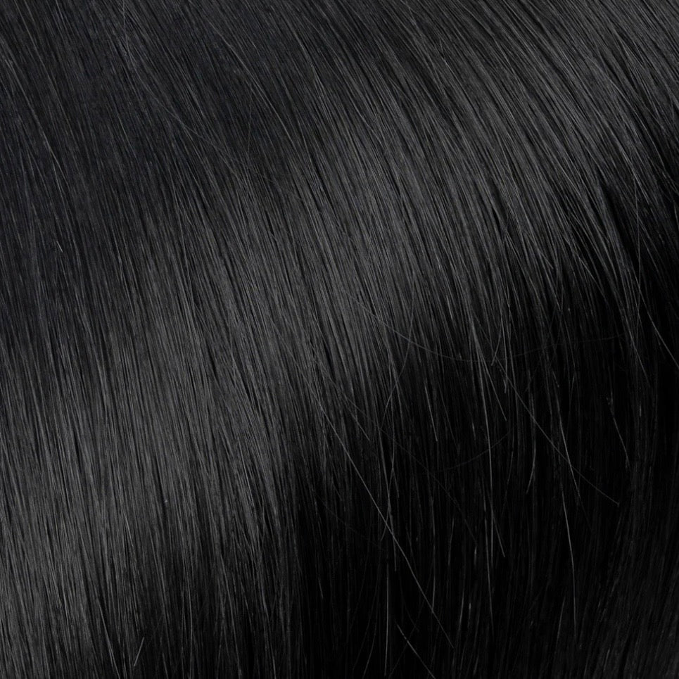 No 01 Black Beauty