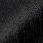 No 01 Black Beauty